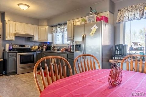 Tiny photo for 12838 Pike 403, Bowling Green, MO 63334 (MLS # 25076137)