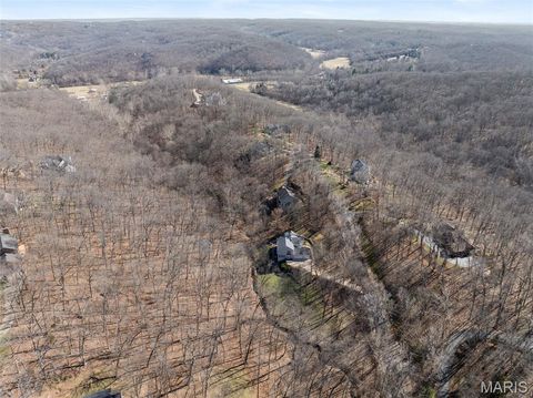 Tiny photo for 2408 Redbud Valley Court, Wildwood, MO 63038 (MLS # 26008756)