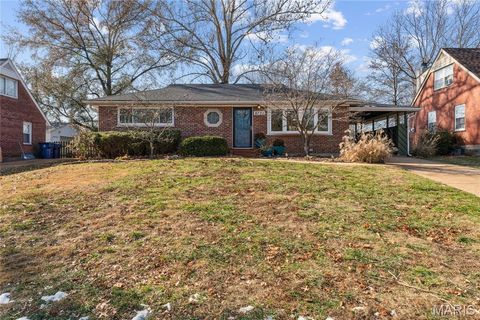 Photo of 8721 Del Vista Drive, St Louis, MO 63126 (MLS # 25078230)