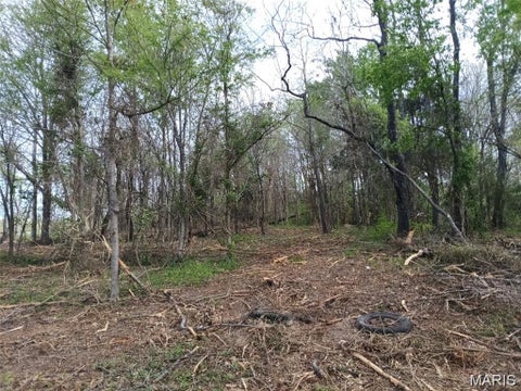 Tiny photo for 301 E 2nd Street, Annapolis, MO 63620 (MLS # 26068624)