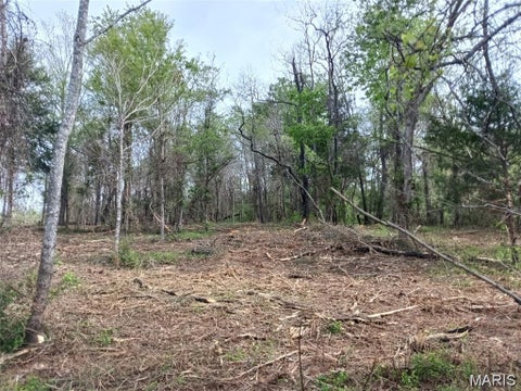 Tiny photo for 301 E 2nd Street, Annapolis, MO 63620 (MLS # 26068624)