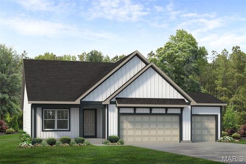 249 Randlin Drive O'Fallon MO 63367