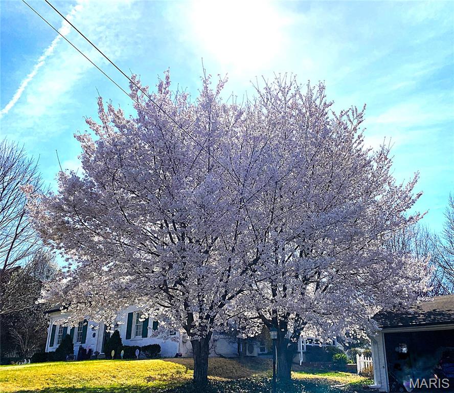 Hereford Home Place - Residential