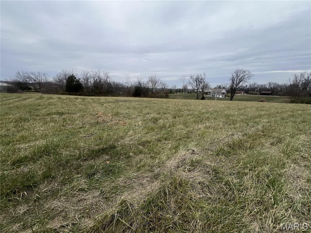 Photo of 000 Cole Lane, Perryville, MO 63775 (MLS # 25080998)