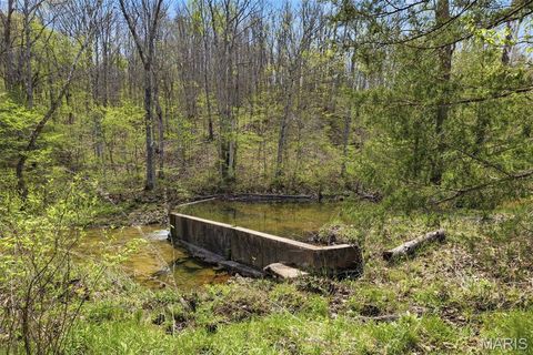 Tiny photo for 24944 State Route WW, Ste Genevieve, MO 63670 (MLS # 26022147)