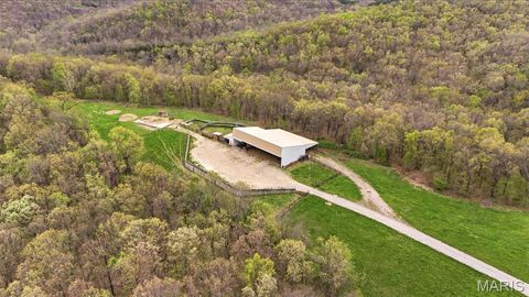 Tiny photo for 24944 State Route WW, Ste Genevieve, MO 63670 (MLS # 26022147)