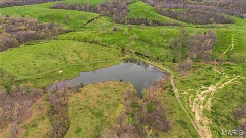 Tiny photo for 24944 State Route WW, Ste Genevieve, MO 63670 (MLS # 26022147)