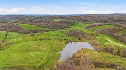 Tiny photo for 24944 State Route WW, Ste Genevieve, MO 63670 (MLS # 26022147)