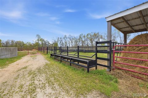Tiny photo for 24944 State Route WW, Ste Genevieve, MO 63670 (MLS # 26022147)