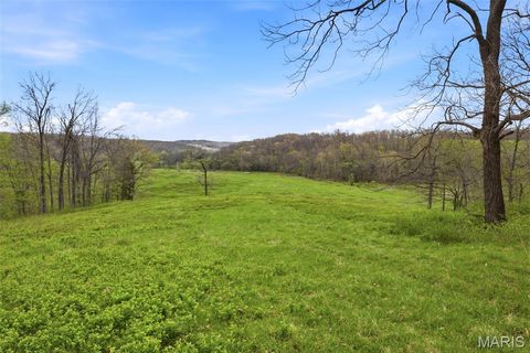 Tiny photo for 24944 State Route WW, Ste Genevieve, MO 63670 (MLS # 26022147)