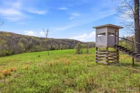 Tiny photo for 24944 State Route WW, Ste Genevieve, MO 63670 (MLS # 26022147)
