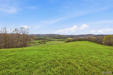 Tiny photo for 24944 State Route WW, Ste Genevieve, MO 63670 (MLS # 26022147)
