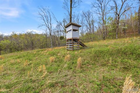 Tiny photo for 24944 State Route WW, Ste Genevieve, MO 63670 (MLS # 26022147)