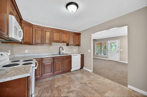 Tiny photo for 230 Hammett Road, Winfield, MO 63389 (MLS # 25056461)