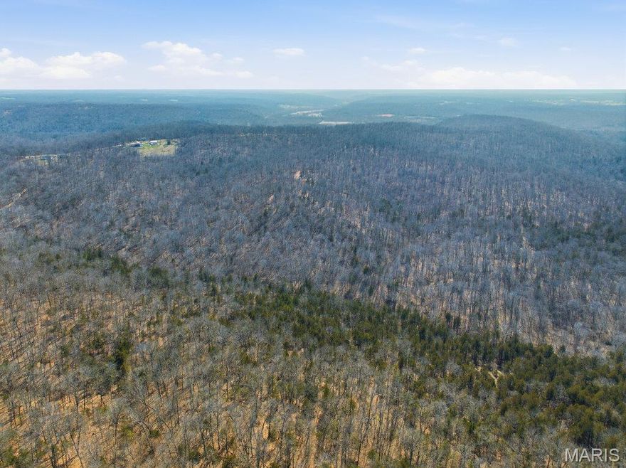 Whether you're searching for land to Hunt, Hideaway, Camp, Build or just aquire--This is for you!! Come see for yourself all of the potential this beautiful plat of Ozark Foothills Acreage has to offer! Tucked away for privacy: if seclusion is what you want, that is exactly what you will get here! There is a cleared flat area perfect for your camp ground for a weekend getaway. Imagine building your dream home and overlooking a vast view of natural timber, wildlife and freedom! With no neighbors in sight, this is YOUR land and you may do as YOU please!  There are no restrictions here AND Electric has been run along the road at the front of the property!  This property is so large you can wander for hours and not see the same area twice. You could even make the land work for you and earn some additional income from it! This is the perfect blank canvas for your creative mind to let loose and exactly what you have been searching for! **Please note** This is located at the end of Hillside Rd just before 499 Hillside Dr. You drive through Big woods to get to it- not part of Big Woods- no subdivision by laws, covenants or restrictions here!! Almost ALL hardwood forest (with the occasional scarce cedar or pine) so you get beautiful views of the valley and hills during winter!! If you take out some trees from the downhill side of your new home you'll have those same views all year long!!