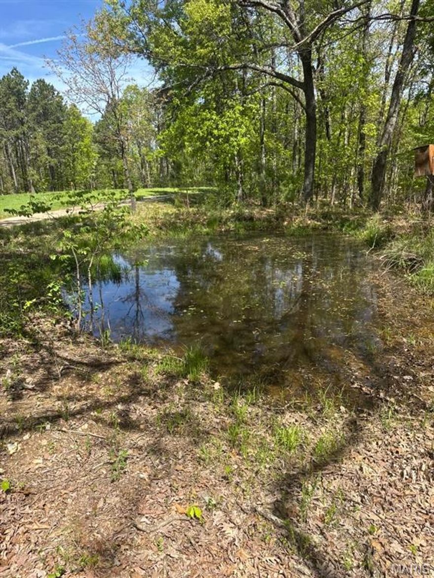 32.43 Acres (+/-) with a small pond. Great recreational property with a nice drivable trail. All wooded with some pine trees. Located just outside of Potosi. Great weekend getaway destination. Park like setting! Identified as sale tract #2 (see sketch in supplements). Call for more info or to set up your viewing. NOTE: A parcel ID & tax amount will be determined by Assessor after closing. A 911 address will be assigned (if requested) after closing.