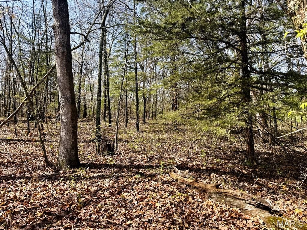 Photo of 0 Highway 17, Crocker, MO 65452 (MLS # 25073540)