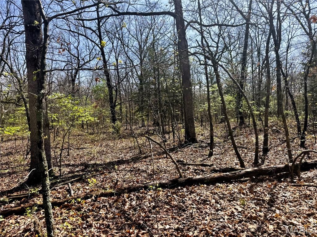 Photo of 0 Highway 17, Crocker, MO 65452 (MLS # 25073540)