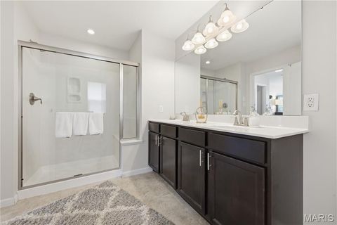 Tiny photo for 146 Boardwalk Gardens Drive, OFallon, MO 63368 (MLS # 26022899)