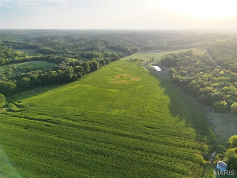 Tiny photo for 00 Tickridge Road, Elsberry, MO 63343 (MLS # 26055137)
