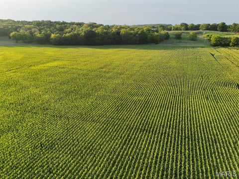 Photo of 00 Tickridge Road, Elsberry, MO 63343 (MLS # 26055137)
