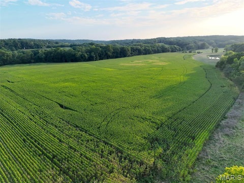 Tiny photo for 00 Tickridge Road, Elsberry, MO 63343 (MLS # 26055137)