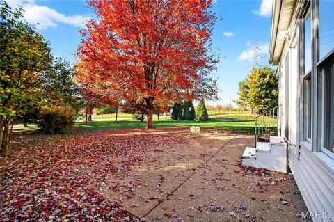 Tiny photo for 811 Wheaton Way, Creve Coeur, MO 63141 (MLS # 25074702)