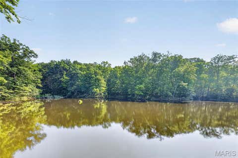 Tiny photo for 85 Spring Branch Road, Troy, MO 63379 (MLS # 26028129)