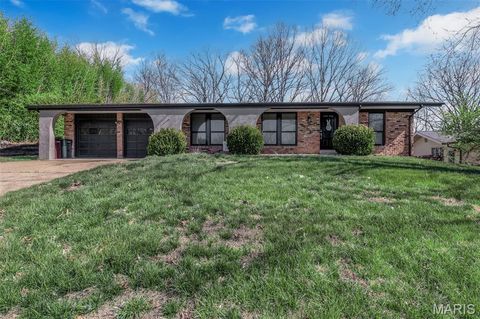 Photo of 9 Treecrest Court, Fenton, MO 63026 (MLS # 26016537)