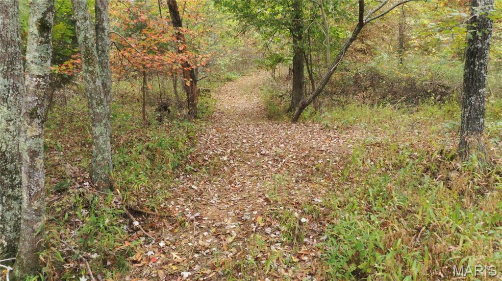 Martin Rd Farms - Residential