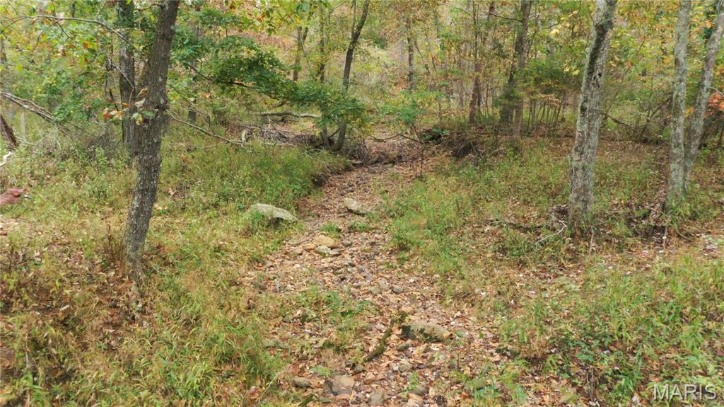 Martin Rd Farms - Residential