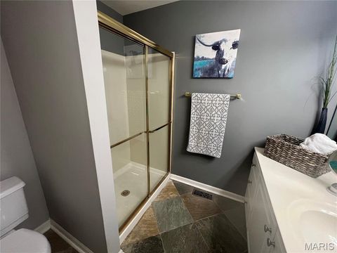 Tiny photo for 765 Turrentine Trail, Creve Coeur, MO 63141 (MLS # 26013421)