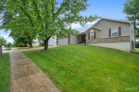 507 Woolf Road Warrenton MO 63383