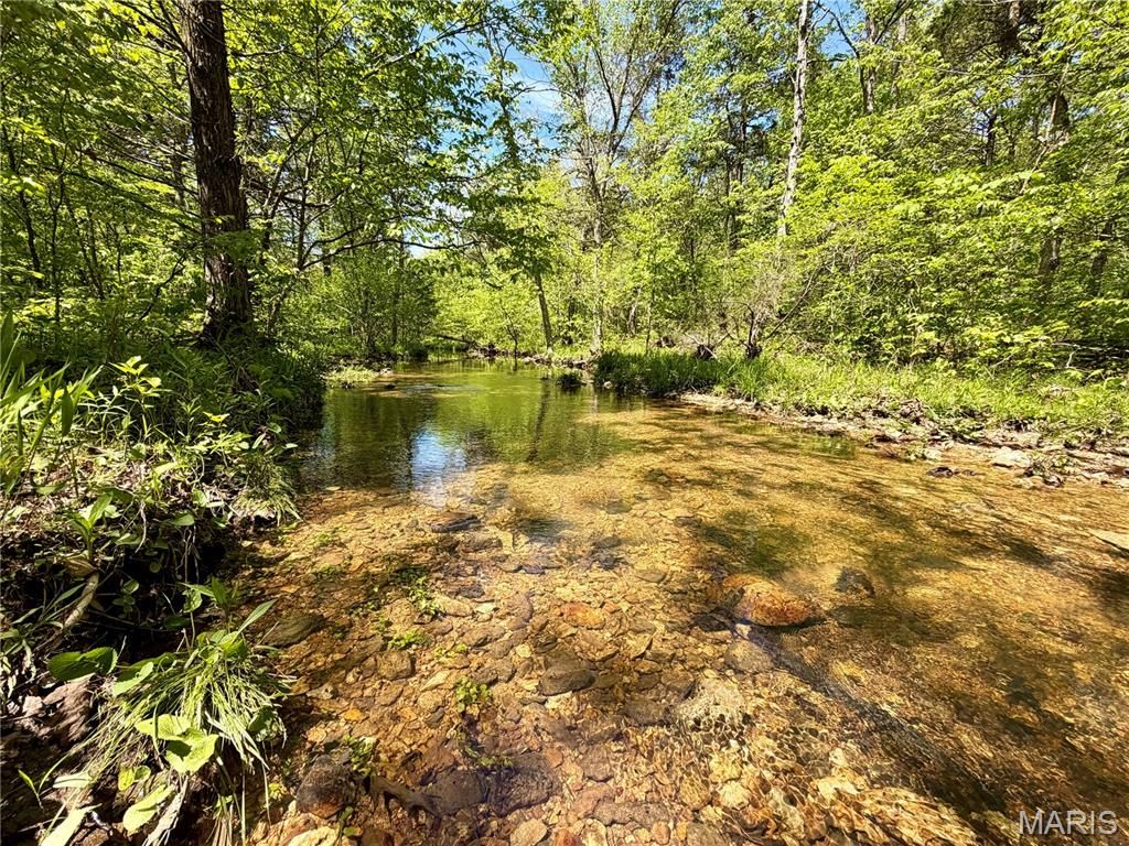 Photo of 6 Furnace Creek Road, Potosi, MO 63664 (MLS # 26027050)