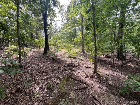 Tiny photo for tbd Partridge, Climax Springs, MO 65324 (MLS # 26052438)