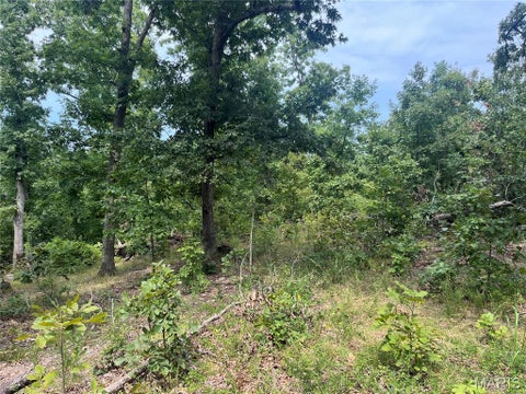 Tiny photo for tbd Partridge, Climax Springs, MO 65324 (MLS # 26052438)