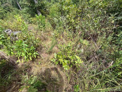 Tiny photo for tbd Partridge, Climax Springs, MO 65324 (MLS # 26052438)