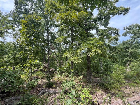 Tiny photo for tbd Partridge, Climax Springs, MO 65324 (MLS # 26052438)