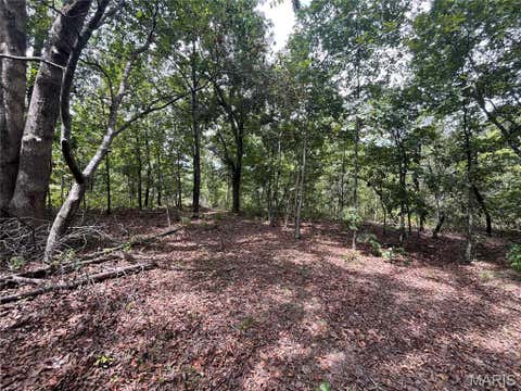 Tiny photo for tbd Partridge, Climax Springs, MO 65324 (MLS # 26052438)