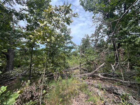 Tiny photo for tbd Partridge, Climax Springs, MO 65324 (MLS # 26052438)