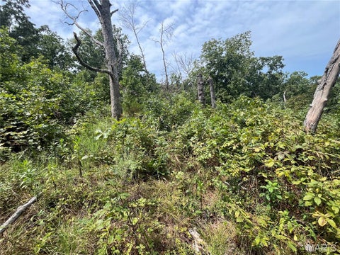 Tiny photo for tbd Partridge, Climax Springs, MO 65324 (MLS # 26052438)