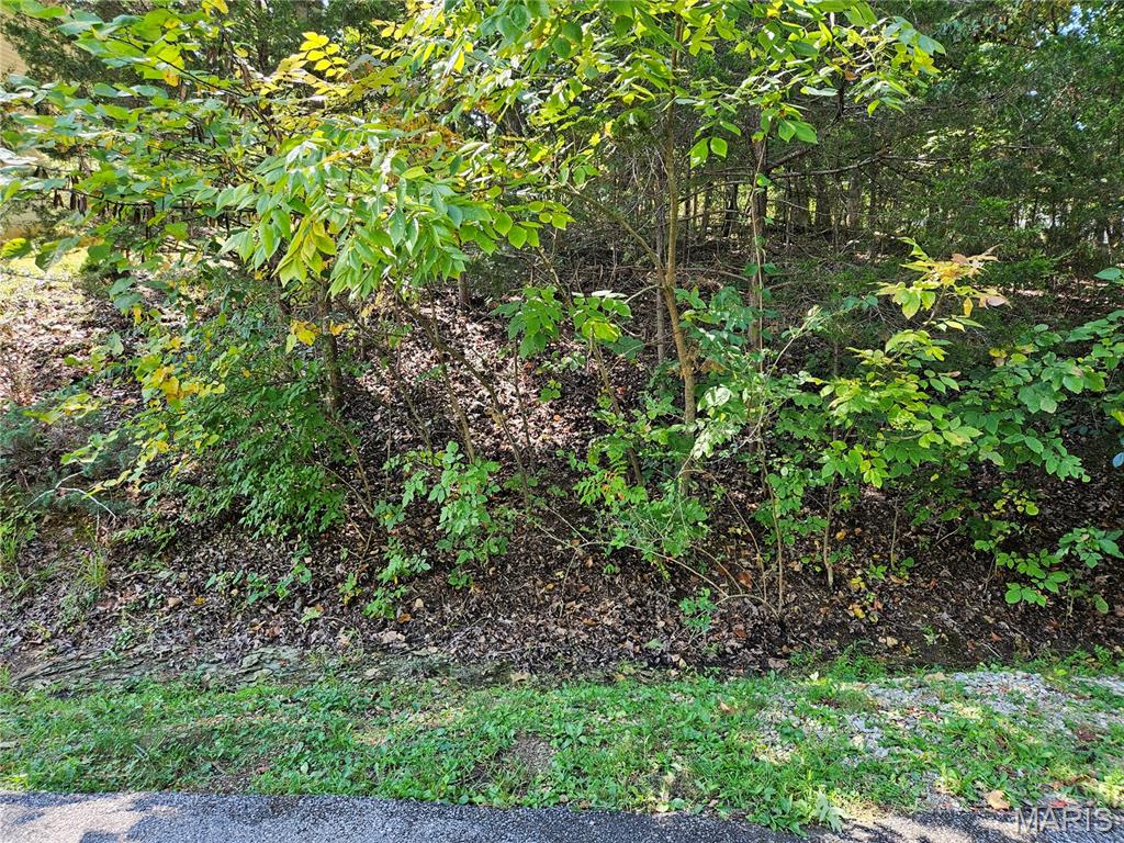 Raintree Plantation Sec 21 - Land