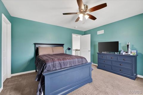 Tiny photo for 10 Caboose Court, Troy, MO 63379 (MLS # 26022428)