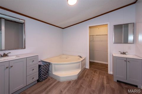 Tiny photo for 736 Angelina Lane, Robertsville, MO 63072 (MLS # 26029826)