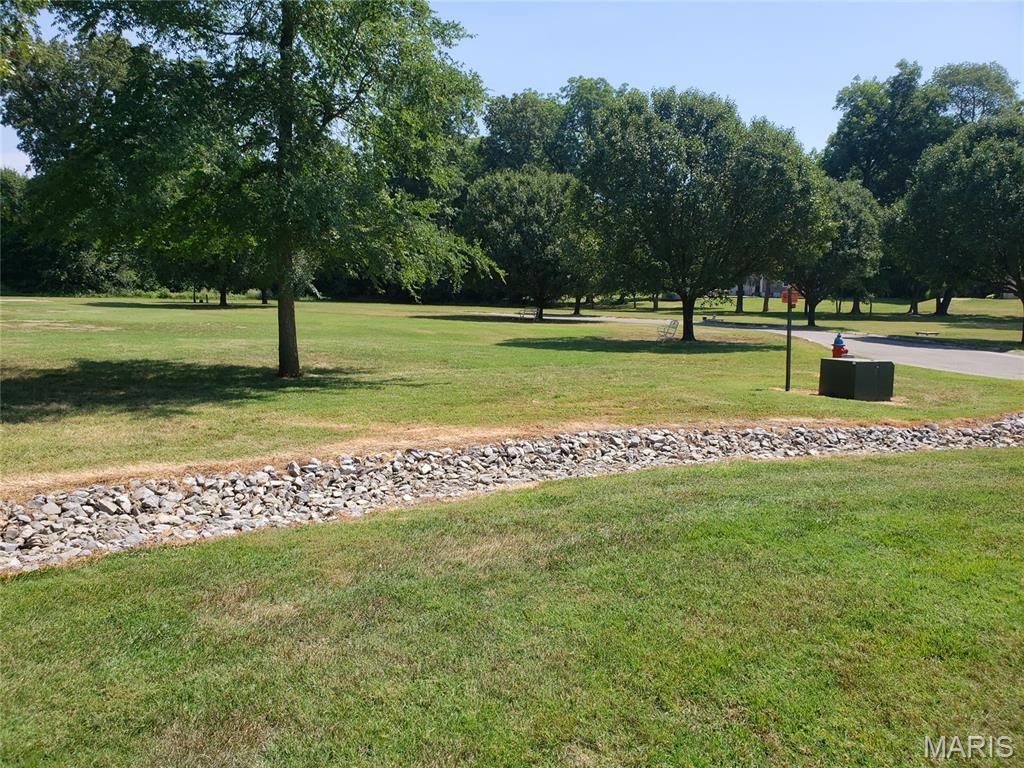 Photo of 113 Whitman Street, Dexter, MO 63841 (MLS # 26037653)