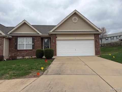 9 Dawson Court Festus MO 63028