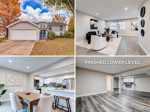 15684 Birkemeier Drive Florissant MO 63034