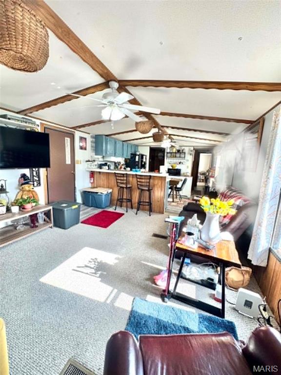 Mark Twain Lake Estates - Residential