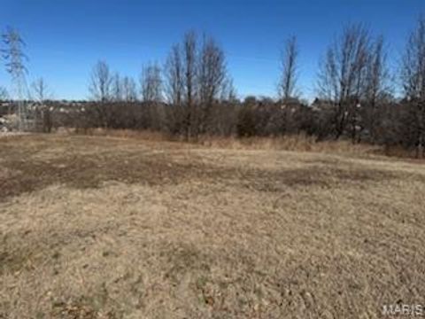 170 Bogey Arnold MO 63010