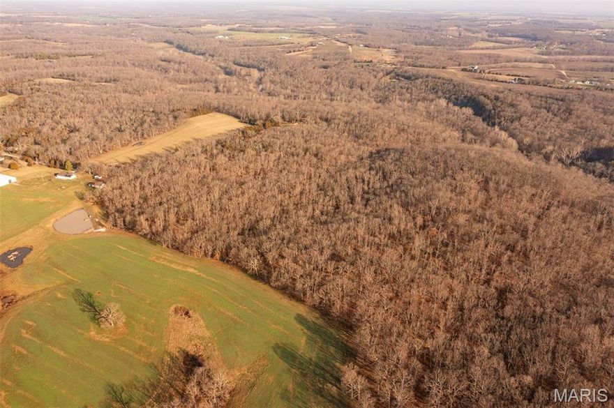 This 116.69-acre timber property in Bellflower, Missouri offers a rare opportunity to take a solid foundation of terrain, access, and habitat and make it entirely your own. With direct access from Abbott Road, drivable trails, and multiple ridge systems, this tract is well-suited for a buyer who wants to shape a property rather than inherit someone else’s plan.

The land is dominated by mature white oak timber, providing a strong natural acorn crop that draws deer during October and throughout the fall. With thoughtful Timber Stand Improvement (TSI), this property offers excellent potential to enhance bedding cover, improve sunlight penetration, and create more predictable deer movement across the ridges and travel corridors.

Three distinct ridge systems define the landscape and naturally guide wildlife movement. A seasonal tributary to Brush Creek winds through the property, and one standout feature is a white rock crossing within the tributary—a scenic and memorable spot that serves as an exceptional backdrop for spring turkey photography.

A well-established trail system spans the entire property, and all trails are wide enough to accommodate a small tractor, making future habitat work, trail maintenance, and improvement projects far more manageable. Along the southern portion of the property, a pipeline corridor provides a ready-made opening that could be broadcast with clover or other forage to introduce an additional food source and improve wildlife attraction.

Near the center of the property, a neighboring tillable field supplies a consistent grain source, adding to the overall hunting potential without immediate development required on this tract. Large surrounding ownership enhances privacy and limits outside pressure.
It provides the acreage, access, timber base, and terrain needed for a buyer to thoughtfully develop a high-quality recreational property over time.